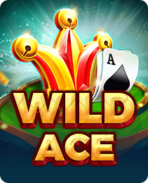 Wild Ace slot game on x666