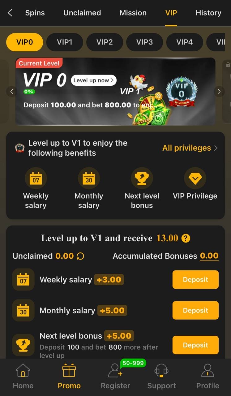 x666 VIP levels
